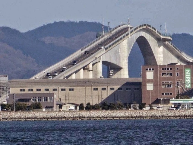 berühmte-bäume-in-japan-1.webp