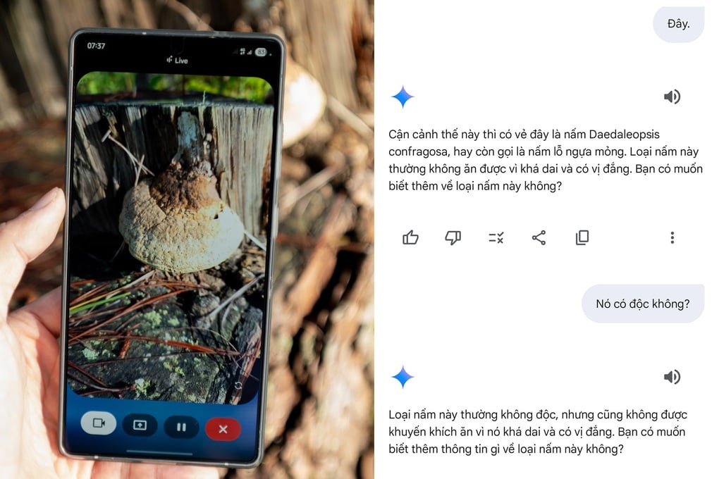 Khám phá thiên nhiên cùng Galaxy S25 Series và trợ lý Gemini Live - 6
