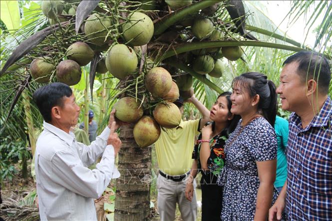 ចំណងជើងរូបថត