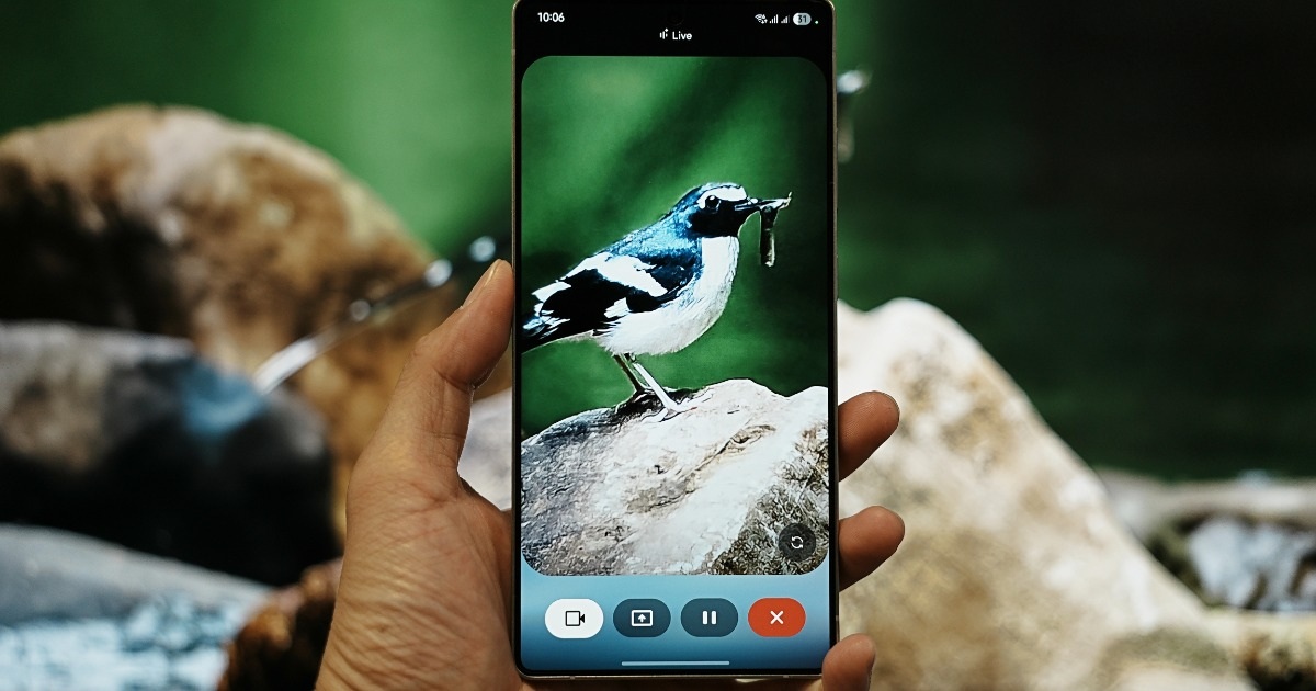 Explore nature with Galaxy S25 Series and Gemini Live assistant
