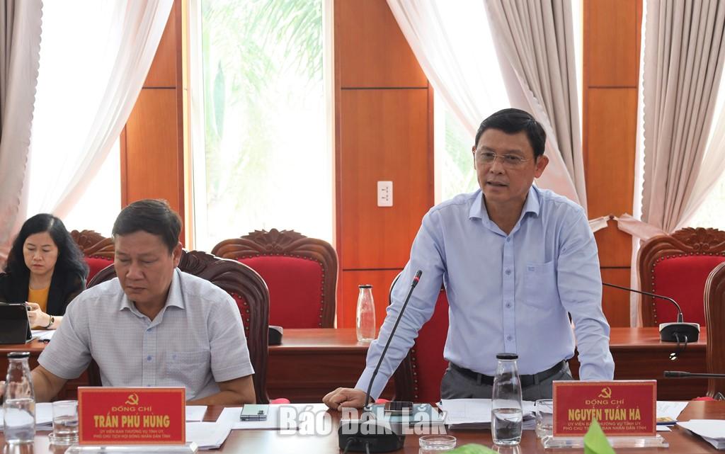 Ủy viên Ban Thường vụ Tỉnh ủy, Phó Chủ tịch Thường trực UBND tỉnh Nguyễn Tuấn Hà nêu ý kiến tại hội nghị.