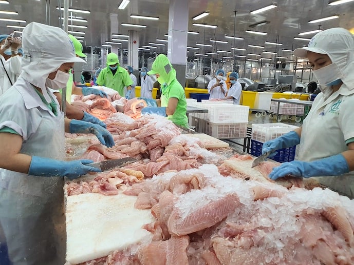 Mỹ miễn thuế xuất khẩu thêm 6 doanh nghiệp cá tra Việt Nam. Ảnh: Trung Chánh