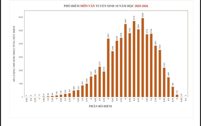 NÓNG - Công bố phổ điểm thi lớp 10 tại TP HCM: 448 điểm 10 tiếng Anh, 36 điểm 10 toán- Ảnh 1.
