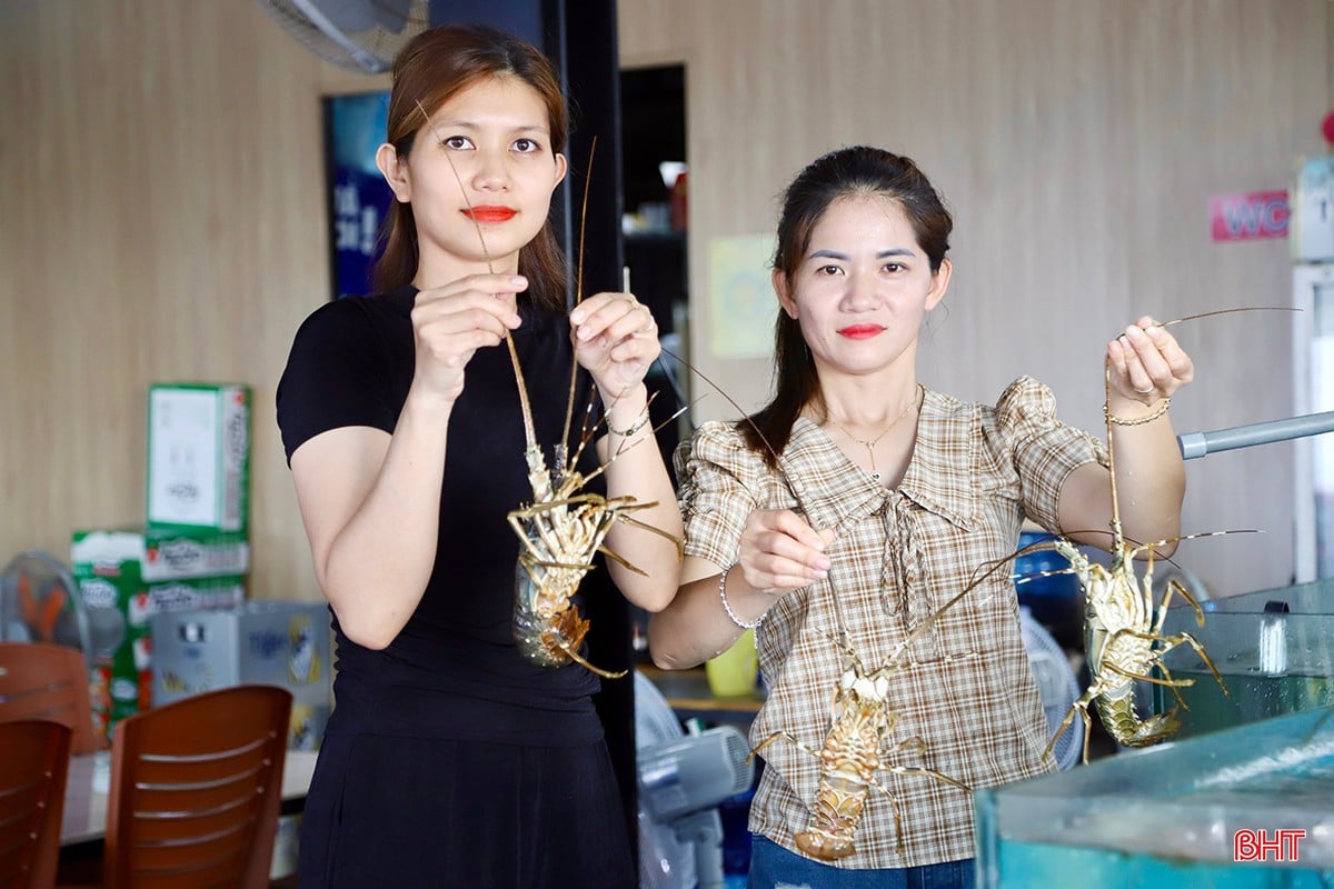 bqbht_br_img-5772-copy.jpg