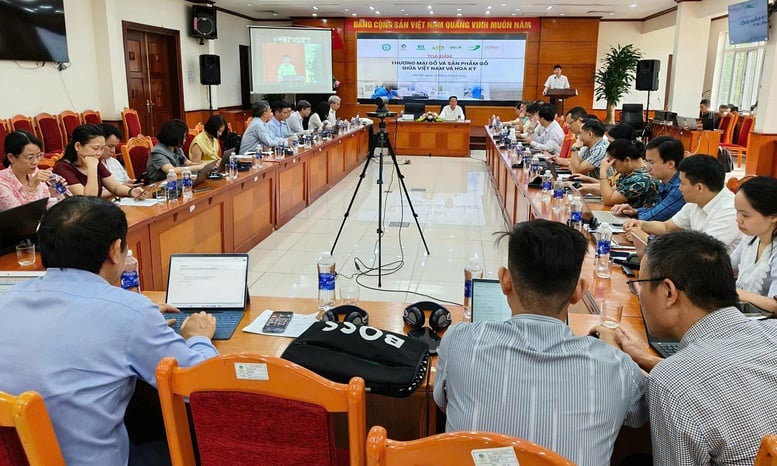 Mejorando la transparencia de la madera y los productos de madera vietnamitas en la cadena de suministro - Foto 1.