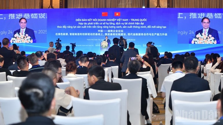 ndo_br_anh-4-9549.jpg