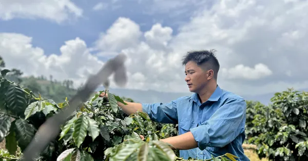 Story of union members overcoming difficulties and making a living from coffee in the hills of the Northwest