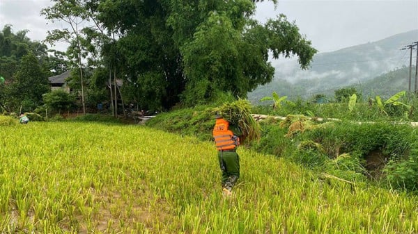 Công an xã Dương Quỳ chủ động ứng phó, giúp dân khắc phục hậu quả mưa lớn.