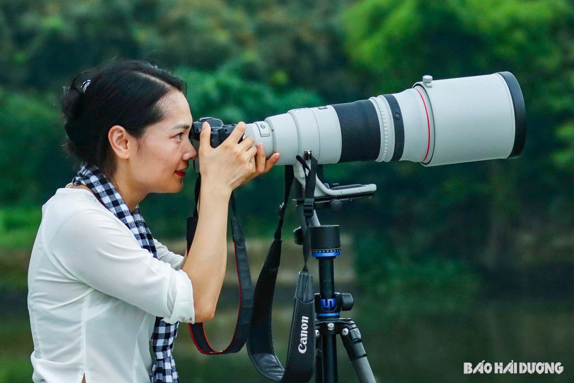 sang-tac-anh1.jpg