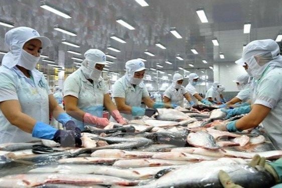 Hoa Kỳ kết luận thuế chống bán phá giá cá tra - basa phi lê đông lạnh Việt Nam