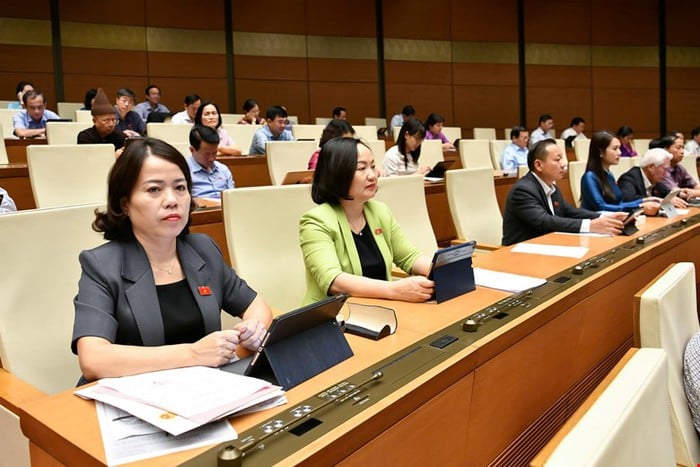 Đại biểu Quốc hội nói điều kỳ lạ 