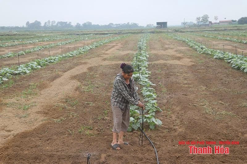 បង្កើនប្រាក់ចំណូលជូនប្រជាពលរដ្ឋនៅជនបទ