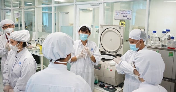 ĐHQG TP HCM có thêm 17 giáo sư lĩnh vực công nghệ thông tin, chip bán dẫn, AI