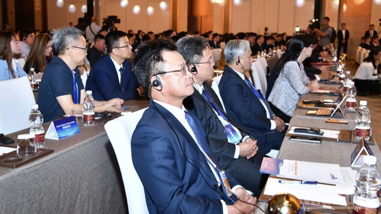 ndo_br_anh-7-4464.jpg