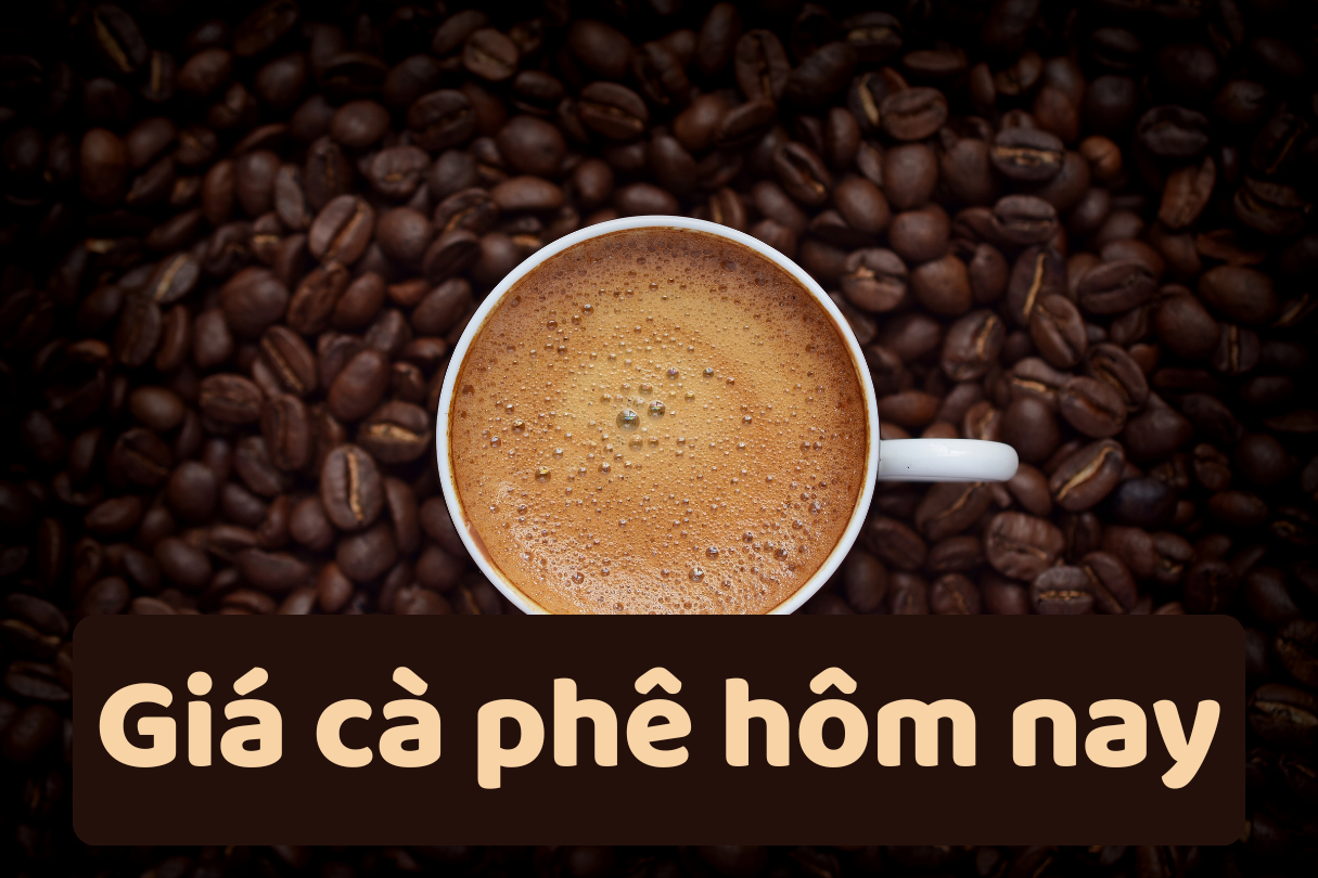 Prix ​​du café aujourd'hui, 24 juin 2025 : une nouvelle baisse est prévue