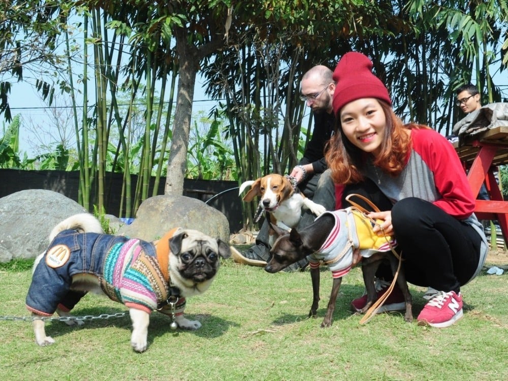 Trải nghiệm với thú cưng ở bãi đá sông Hồng. (Ảnh: PV/ Vietnam+)