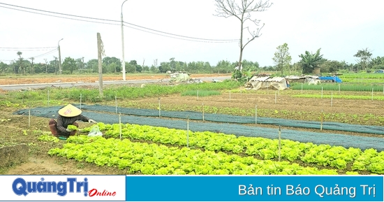 Cần “tiếp sức” cho các tổ hợp tác phát triển