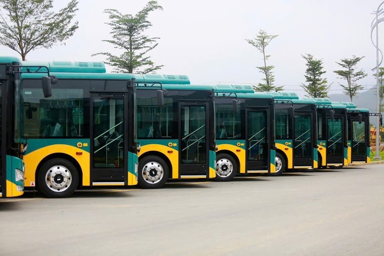 Công ty Phương Trang vận hành 35 tuyến buýt điện tại TPHCM từ tháng 7- Ảnh 1.