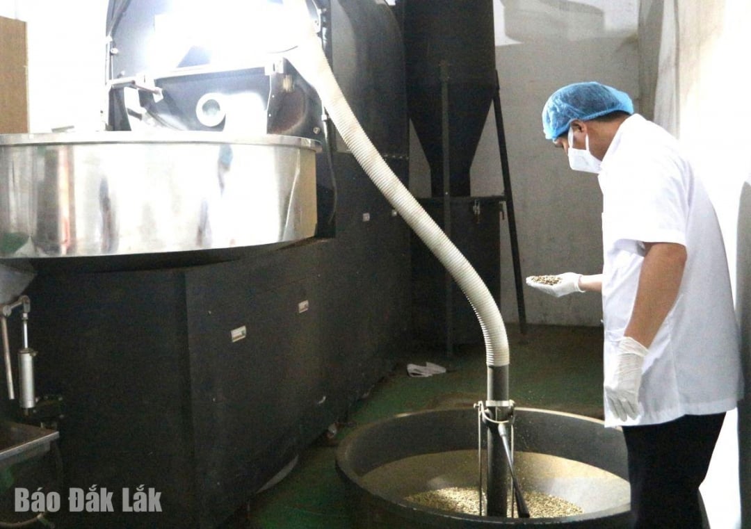 Ein Kaffeeproduktionsunternehmen in der Stadt Buon Ma Thuot.
