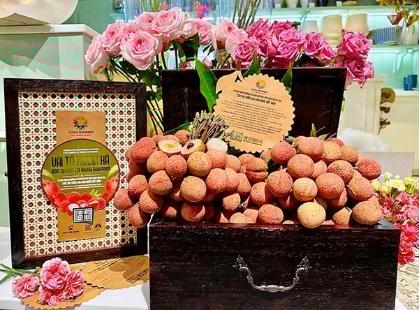 Vải tổ Thanh Hà được cung cấp độc quyền tại hệ thống siêu thị cao cấp Mena Gourmet.