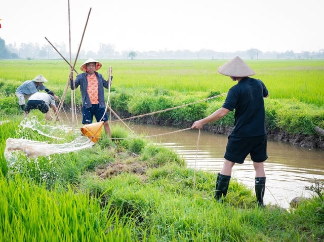 Trung Ruồi, Duy Hưng, Thái Hòa, Neko Lê làm nông dân, dạy con về lòng biết ơn- Ảnh 3.