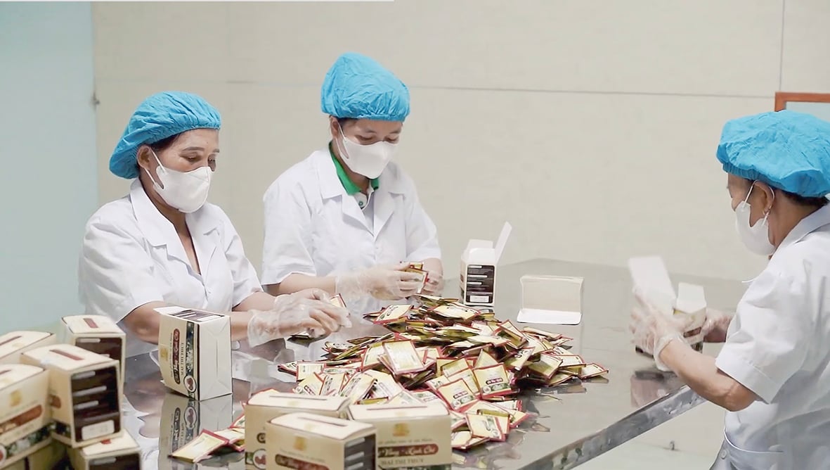 Khuyến khích phát triển dược liệu theo hướng bền vững
