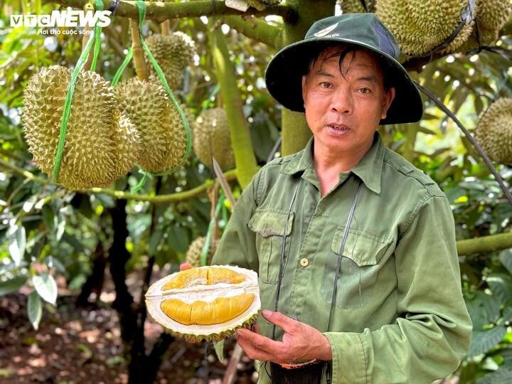 Ông Vũ Đăng Thành ngụ xã Đắk Sin (huyện Đắk R’lấp, tỉnh Đắk Nông).