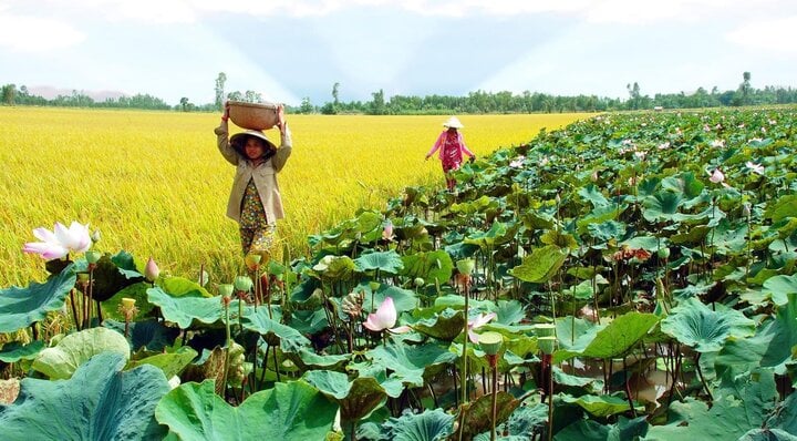 ¿En qué provincia se fusionaron Khanh Hoa y Ninh Thuan? - 3