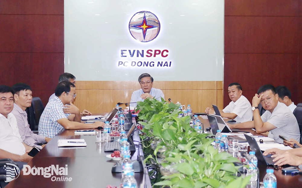 Phó Phó chủ tịch UBND tỉnh Dương Minh Dũng chủ trì buổi làm việc tại điểm cầu Đồng Nai. Ảnh: Hoàng Lộc