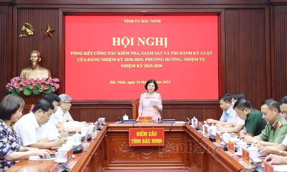Summary of inspection, supervision and Party discipline enforcement work, term 2020-2025