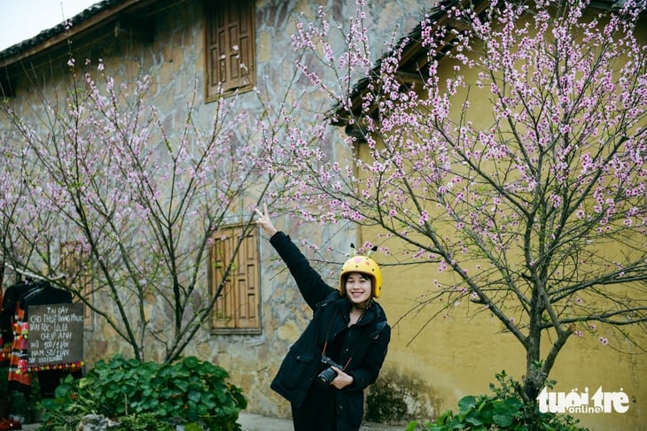 đồng văn - Ảnh 1.