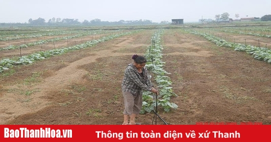 Nâng cao thu nhập cho người dân nông thôn