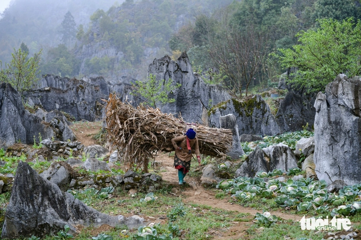 đồng văn - Ảnh 4.