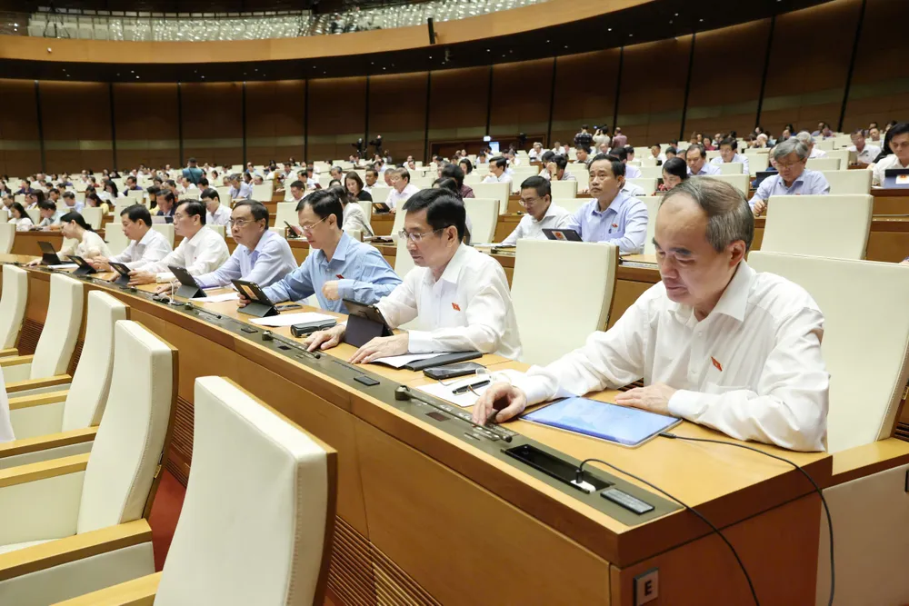 ĐOANG TPHCM bấm nút.jpeg