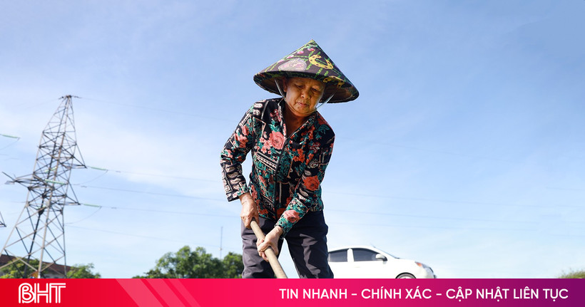 ការ​ដាំ​លើក​ទី​២ កសិករ​នៅ​ក្រុង Ky Anh ថែរក្សា​ស្រូវ​រដូវ​ក្ដៅ-រដូវ​ស្លឹកឈើ​ជ្រុះ​បាន​ល្អ។