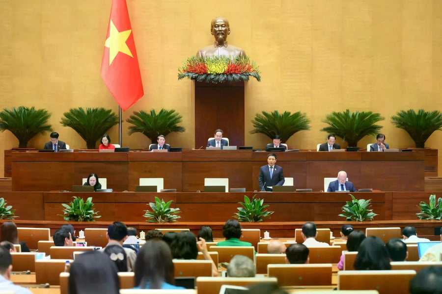ddquang-canh.jpg