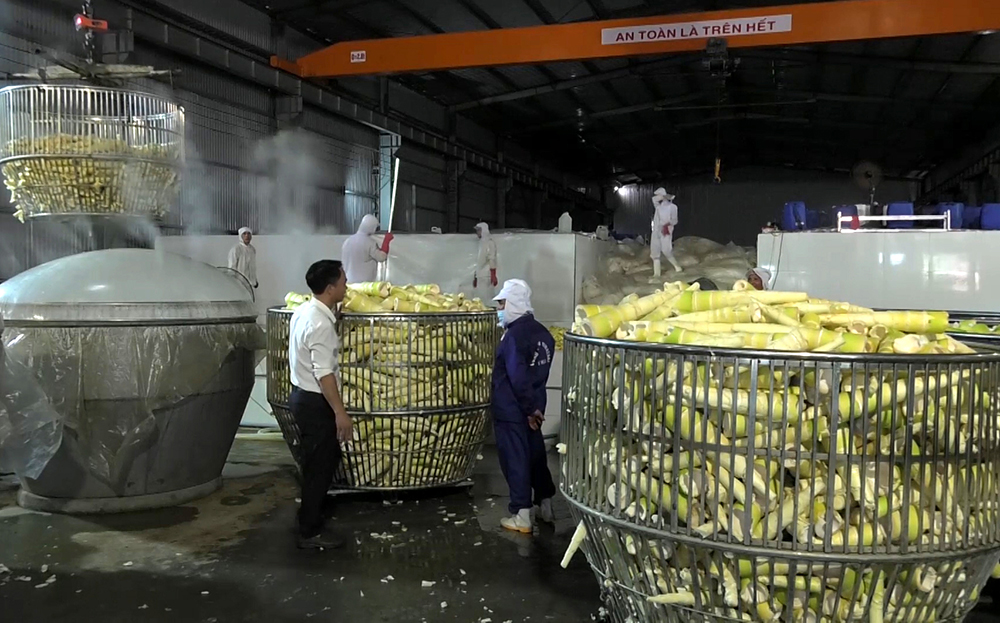 Khi nhà nông “bắt tay” nhà doanh nghiệp
