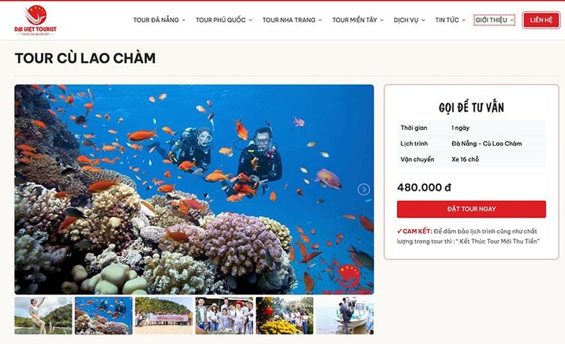dai-viet-tourist-1.jpg