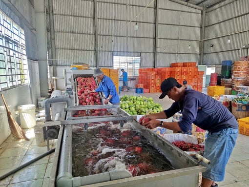 Cooperatives – 'leverage' for building new rural areas