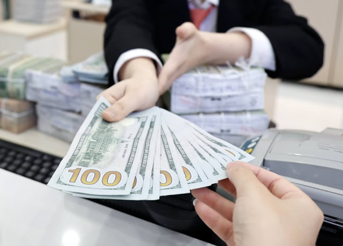 Giá USD tại Việt Nam tăng rất cao- Ảnh 2.