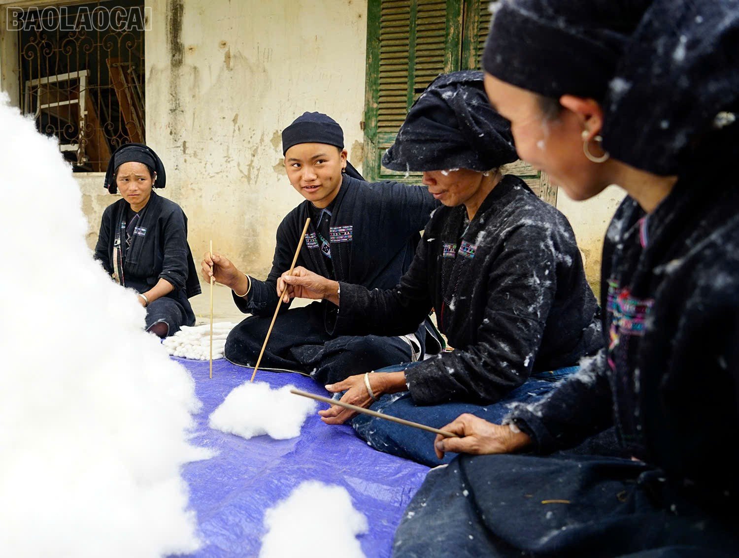 baolaocai-tl_z6736017277138-6f3f30376d4e49223d38b2fe2a389d4f.jpg