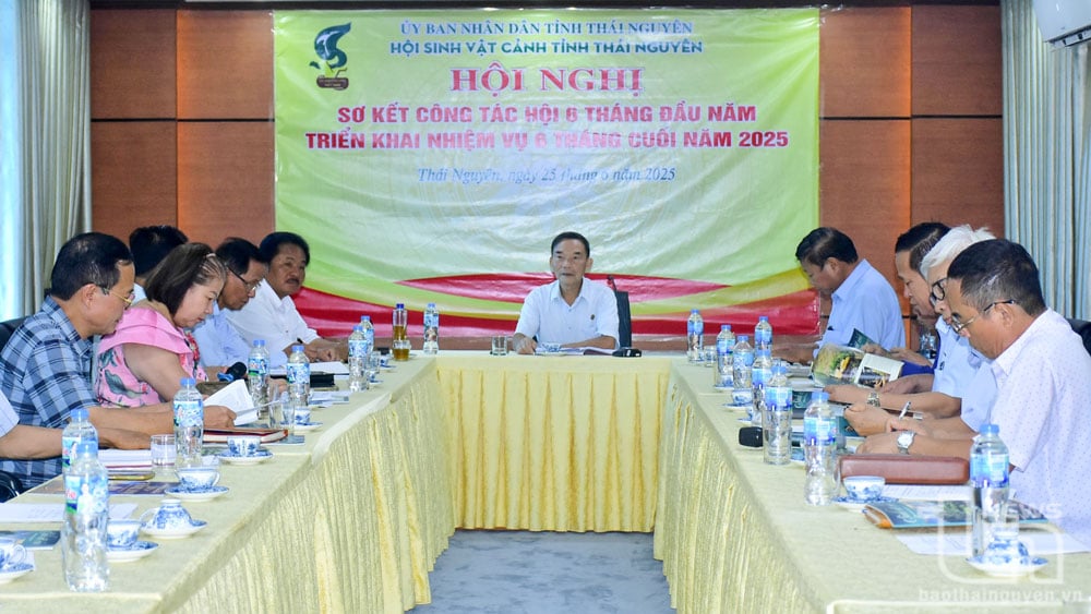 Quang cảnh Hội nghị.