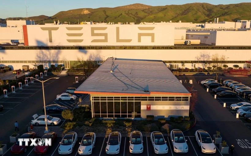 Las ventas de Tesla en Europa caen pese a la recuperación del mercado de coches eléctricos