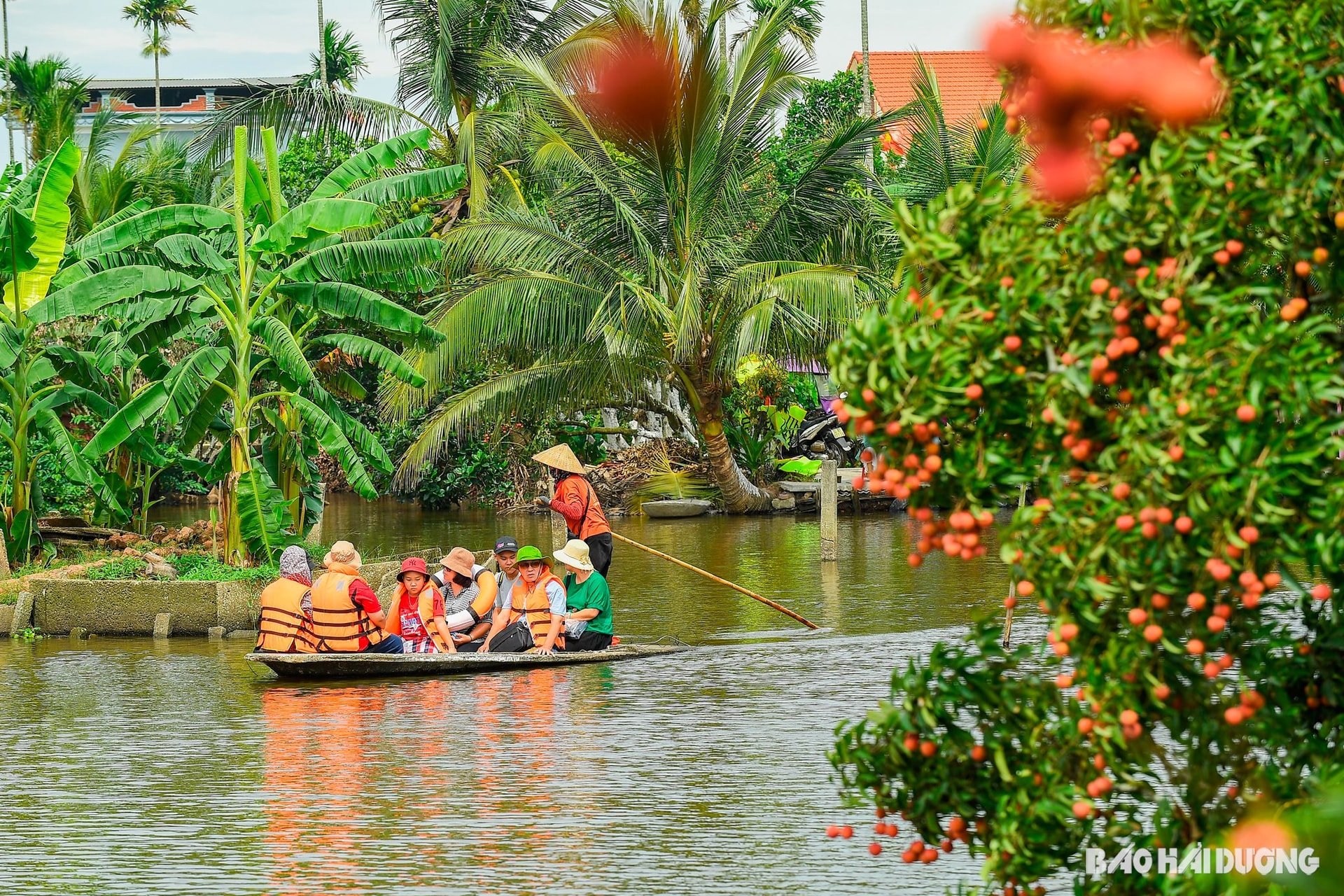 ដុង-ម៉ាន់-២.jpg