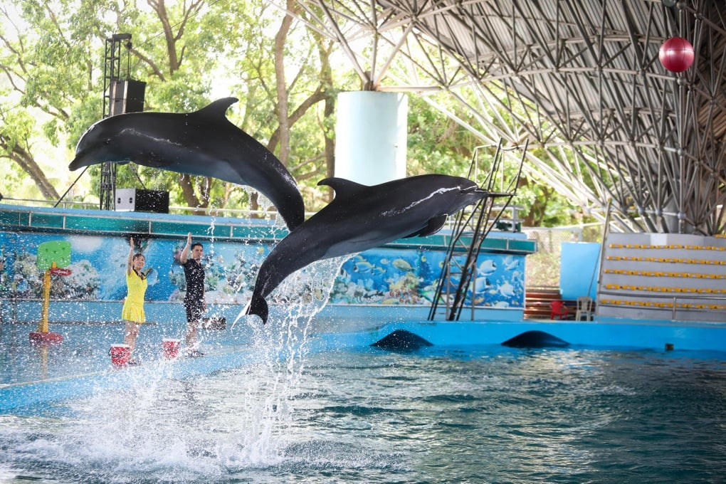 Trải nghiệm trọn gói cho kỳ nghỉ tại Tuần Châu Park Quảng Ninh - 1