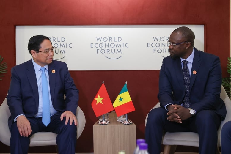 Senegal mong muốn Việt Nam tiếp tục hỗ trợ sản xuất lúa gạo và hạt điều- Ảnh 2.