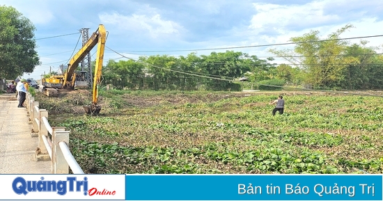Difficult to find a way to deal with water hyacinth on the river