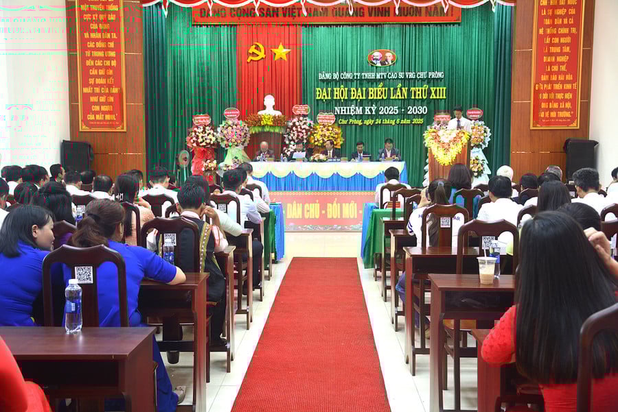 dai-hoi-dang-bo-cong-ty-tnhh-mtv-cao-su-chuprong-lan-thu-xiii-nhiem-ky-2025-2030.jpg