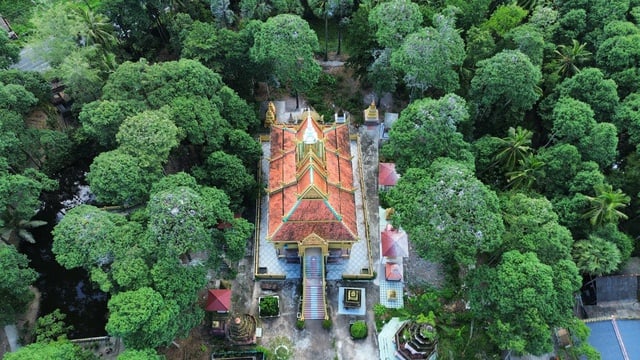 Những ngôi chùa độc đáo ở miền Tây: Nơi 'an cư' của chim cò quý hiếm- Ảnh 5.