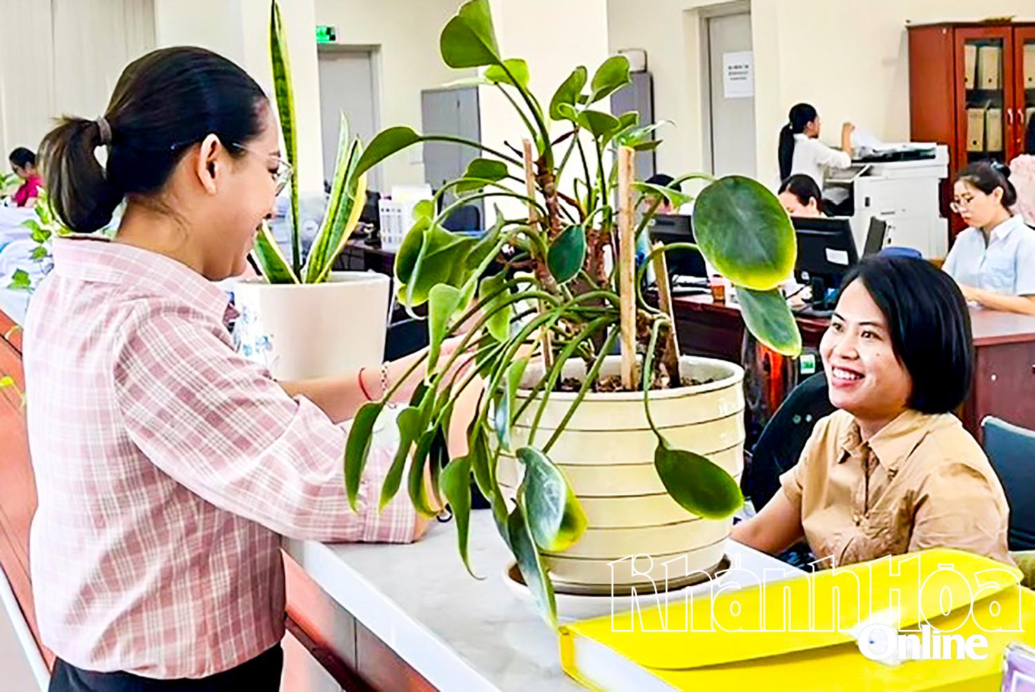 Les clients effectuent leurs transactions au bureau de transaction n° 1 (appartenant à la région XIII du Trésor public) situé dans la ville de Cam Ranh.